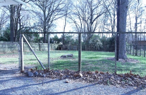 Charlotte House | 2 Bedroom Ranch house , Southend, pet friendly home with fenced in yard!