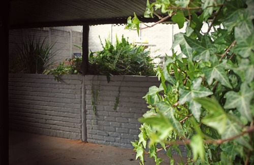 White River Cottage | 2 Bedroom SELF CATERING COTTAGE in White River, Mpumalanga, South Africa