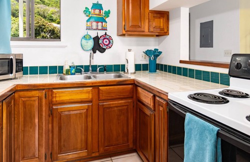 Estate Pastory Apartment | 2 Bedroom w/Free Car, Pool, & AC in Cruz Bay, STJ