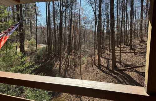 Deep Gap Ski Chalet | 2 BR, 2 BA rustic mountainside cabin - winter availability and no cleaning fee!