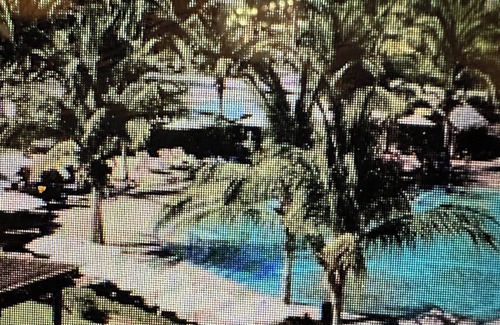 Loreto Apartment | 2 BR OCEANFRONT ELITE PENTHOUSE at the height of WHALE SEASON!