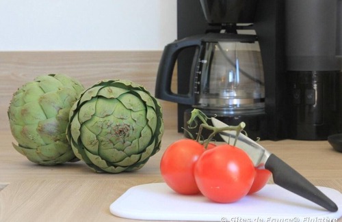 Telgruc-sur-Mer House | 2-Gite 4* NEUF avec SPA intérieur - Jardin clos - mer : Phare de la Jument (2)