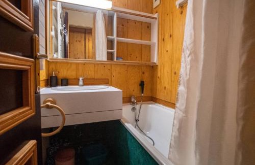 Les Avanchers-Valmorel Apartment | 2 pièces à Valmorel, proche pistes & ESF, balcon - FR-1-356-226