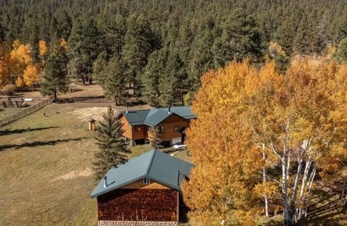 Greer Ski Chalet | 2 Private Cabins on an Secluded Acre, Walk to Restaurants, Fully Fenced