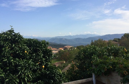 Santa-Reparata-di-Balagna Apartment | 2 rooms in quiet property 5 km of Ile Rousse private beaches .Parking