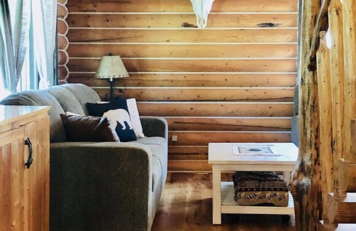 Island Park Cabin | 20 mins to YNP-Cabin-Pet friendly