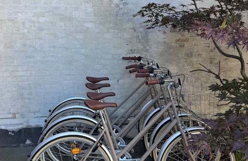 Amager House | 200 sqm I atrium I 6 m ceilings I parking I center I bikes
