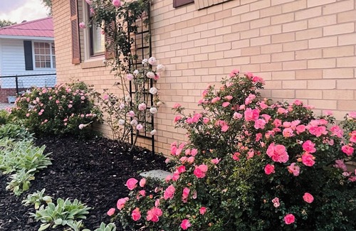 Belvedere House | 2025 Masters Week Rental - 17 minutes from ANGC