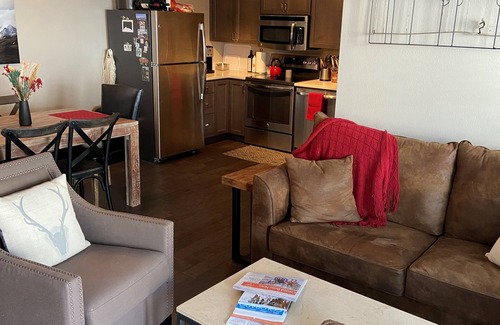 Crested Butte Condo | 207 Timbers Condominium