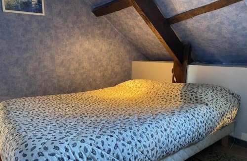 Plurien Villa | 212 -Maison de caractère 10p entre Erquy et Frehel