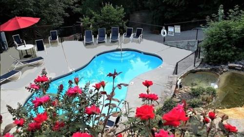Hidden Hills House | 22 in Gatlinburg! Free tickets to Dollywood & more! Resort Pool
