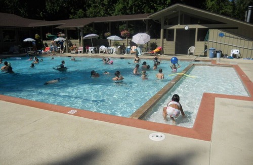 Burley House | 2400 sq ft Luxury Hartstene Pointe Retreat with Pool, Beach & Hi Speed Internet