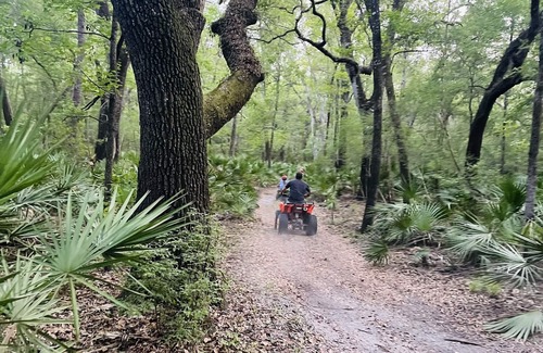 Live Oak Cabin | 250 acres Wilderness cabin on the Suwannee River