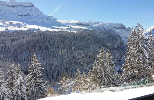 Flaine Apartment | 250m from ski slopes, 3rd floor, balcony, tv, ski locker, 25m², Flaine