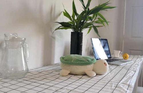 Wat Ket Apartment | 26近古城,宁曼泳池公寓 Near old city,Nimman,train station
