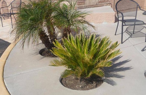 Gila Bend Hotel | 28 m² Motel ∙ 5 guests
