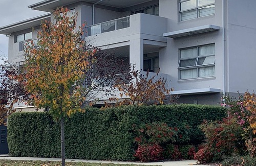 Braddon Apartment | 2B/2B, pets allowed, flexible bedding, ground floor courtyard