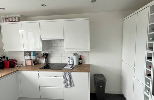 Surrey Docks Apartment | 2BD Flat with Views of Canary Wharf - Rotherhithe