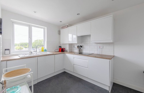 Surrey Docks Apartment | 2BD Flat with Views of Canary Wharf - Rotherhithe