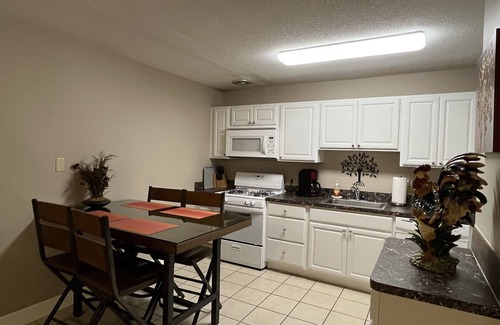 Gainesville Condo | 2bed 1 bath condo walk to Shands, VA, UF and Vet school (2)