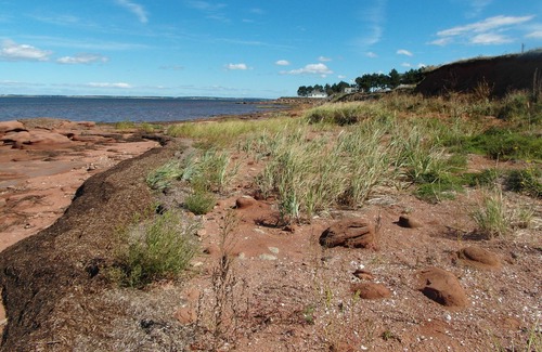 Sherbrooke House | 2Bedroom Cottage With Stunning Views Of Malpeque Bay & Beach Access