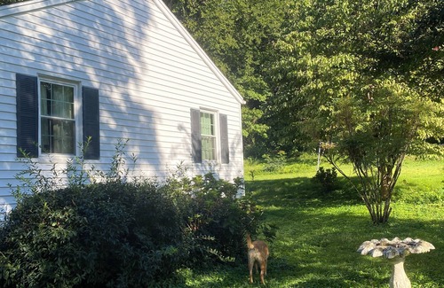 Knoxville Cottage | 3.3 Miles from Neyland Stadium - Renovations almost complete. Ready by 10/10/25