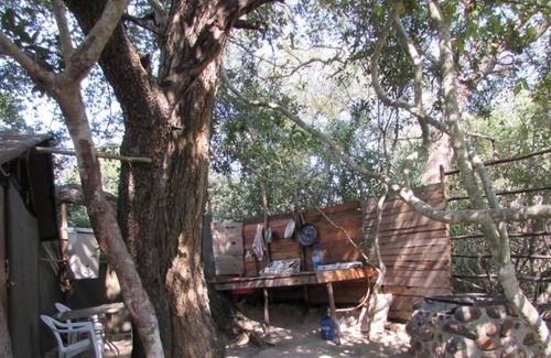 Thorny Bush Game Reserve Cabin | 3 bed bush-tent under 3 trees, for couple plus chaperone. Free lion/hyena sounds