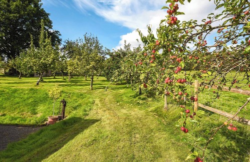 Church Stretton Cottage | 3 bedroom accommodation in Church Stretton