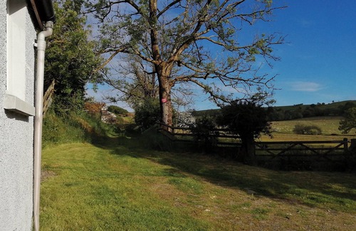 Tregaron Cottage | 3 bedroom accommodation in near Tregaron