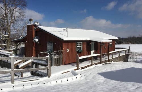 Mohawk Cabin | 3 Bedroom Cabin at Autumn Dancer Llama Farm.Pet Friendly.Fenced Yard