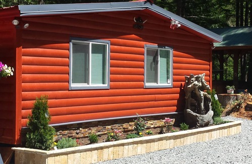 Ashford Cabin | 3-bedroom cabin in wonderful Ashford with WiFi