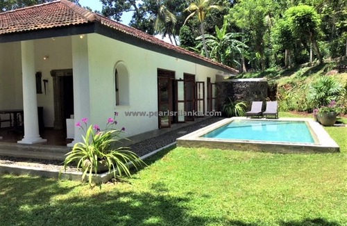 Bandaranayake Villa | 3 Bedroom Colonial Style Villa with Infinity Pool and the Picturesque Garden