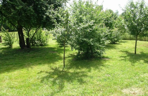 Dompierre-sur-Besbre Cottage | 3-bedroom cottage near attractions with garden & Wi-Fi