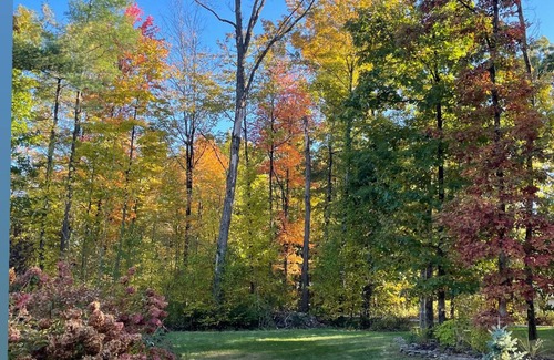 Malta House | 3-bedroom house in Saratoga MINUTES to track with pool, hottub, pool table