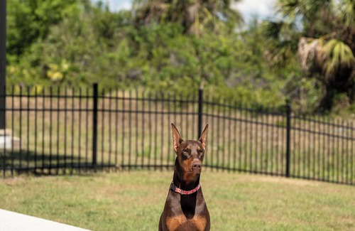 Rotonda Lakes House | 3-bedroom house in welcoming Rotonda West with WiFi, AC, pet friendly,