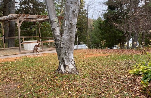 Minden Cottage | 3 Bedroom Private Cottage in Minden Hills