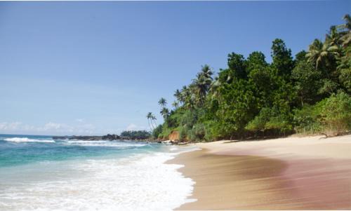 Dickwella Apartment | 3 Bedroom Quiet Coastal House few steps from the stunning beach