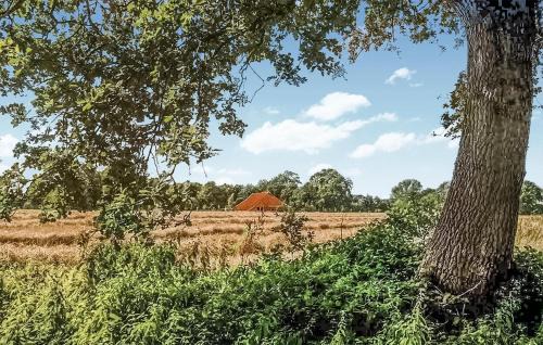 Vlagtwedde House | 3 Bedroom Stunning Home In Vlagtwedde