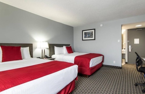 Grande Prairie Hotel | 3 Clean & Modern Rooms – 5 Min Walk to Majors Homestyle Restaurant