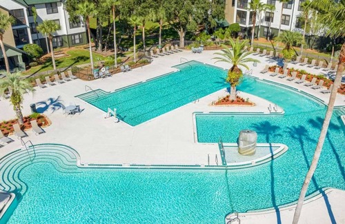 Bearss Plaza Apartment | 3 MI to USF! Pool! GYM & Pet Friendly!