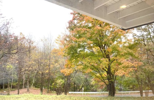 Kitasaku-gun House | 3 minutes from Karuizawa IC Newly built Finland LogPolar House Minami Karuizawa/Kanra-gun Gunma