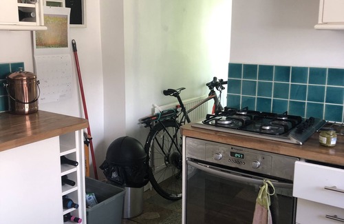 South Camberwell Apartment | 3 Month let in Very Large Garden Flat in Funky Peckham Rye