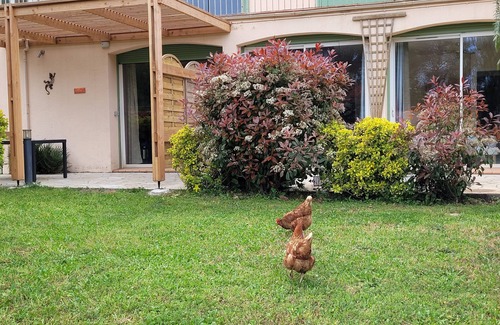 Argeles-sur-Mer Apartment | 3-person gite with sea view in an unspoilt setting 5 minutes from the sea