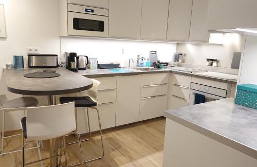 Aix-les-Bains City Center Apartment | 3 PETITS PRINCES