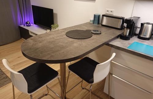 Aix-les-Bains City Center Apartment | 3 PETITS PRINCES