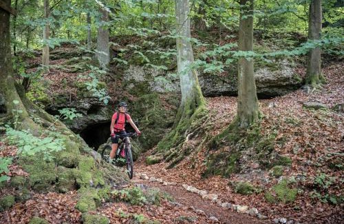 Mistelgau House | 3 Zimmer App Fränkische Schweiz I Miselgau-Obernsees
