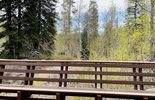 Ponderosa House | 30% OFF 7200 ft Sequoian - Large Family, Trail of 100 Giant, Sequoias, Rivers