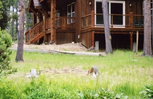Sunriver House | 300' feet of River Frontage on the Fall River - Relax & Reconnect with Nature!