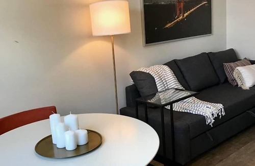 Downtown San Jose Apartment | 310-1 Bedroom Gem San Pedro Square San Jose!
