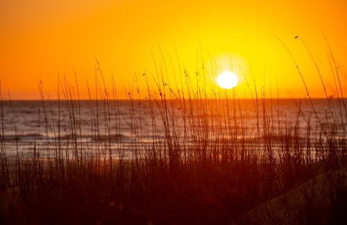 Sea Pines House | 37 Lighthouse Lane at The Sea Pines Resort